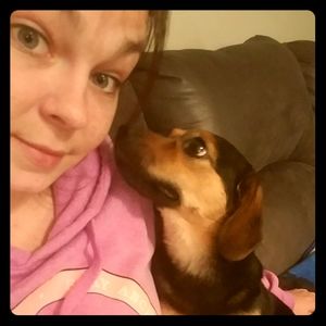 Meet your Posher, Cheyenne 🦄